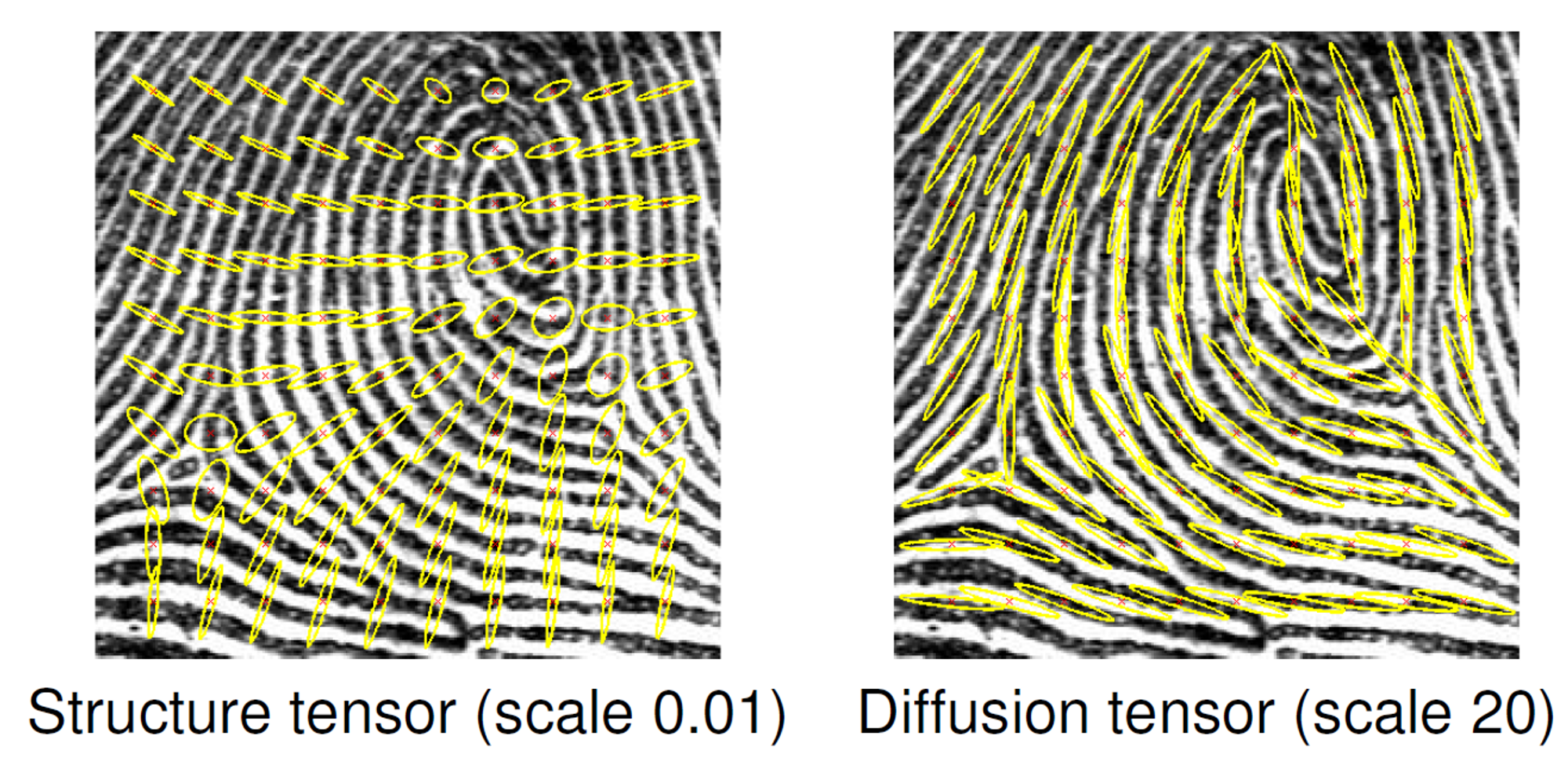 pgv10 structure tensor