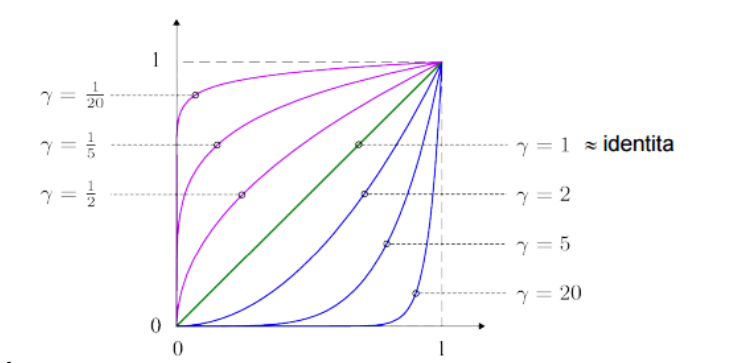 szp09 gamma